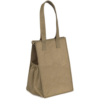 Bolsa de Ruth de cor personalizada Therm-O-Snack Cooler Lunch Tote Bag para manter os alimentos frescos