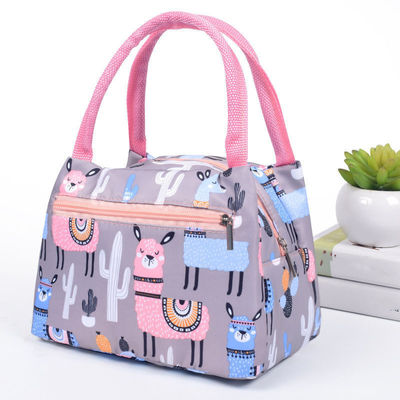 Bolsa de almoço de piquenique para as necessidades da vida diária