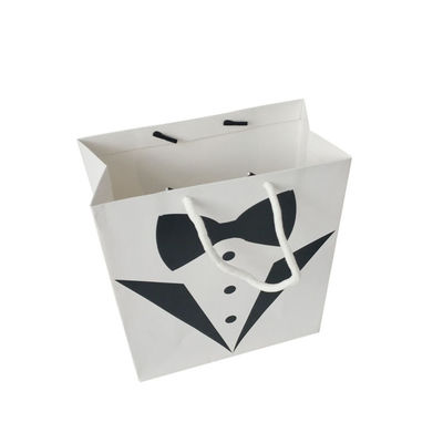Pequena Empresa Logotipo personalizado Aceito Saco de papel biodegradável reciclável Embalagem de presente