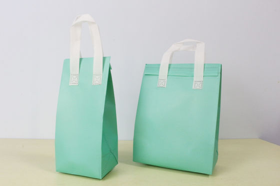 Mais recente Moda OEM/ODM aceitável Saco de alimentos isolado Tote para entrega de alimentos de supermercado